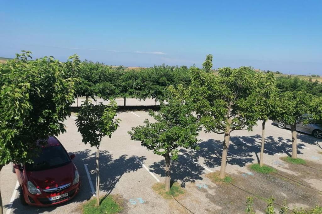 Deluxe Villa In Village Club Касандрия Екстериор снимка